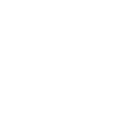 Joie De Vivre