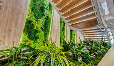 Landscape-Architecture